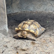 Photo submitted by Susan