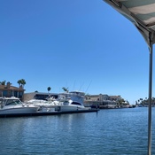 Photo submitted by Frances