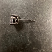 Photo submitted by Guest