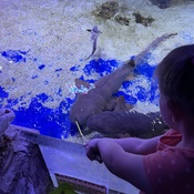 Photo submitted by Justin