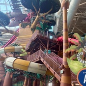 Photo submitted by KAREEM