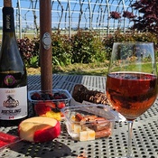 Photo submitted by Yossi