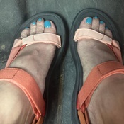 Photo submitted by glynis