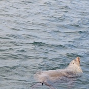 Photo submitted by brandon