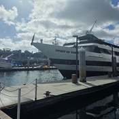 Photo submitted by Ray