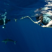 Photo submitted by Mika