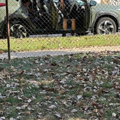 Photo submitted by Suzanne