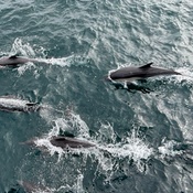 Photo submitted by Guest