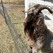 Photo submitted by Amy