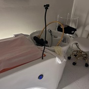 Photo submitted by Kinberly