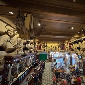 Photo submitted by ASHLEY