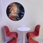 Photo submitted by Alexa