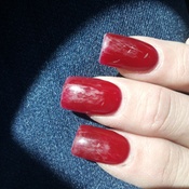 Photo submitted by Kami