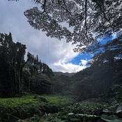 Photo submitted by Guest