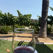 Photo submitted by Nicole