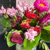 Photo submitted by Mayra