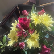 Photo submitted by Cindi