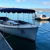 Photo submitted by Li