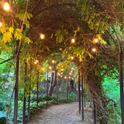 Photo submitted by Rana