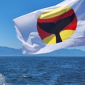 Photo submitted by Guest