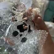 Photo submitted by Jennifer