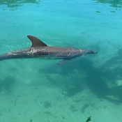 Photo submitted by sara