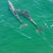 Photo submitted by Thao