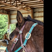 Photo submitted by Jerome