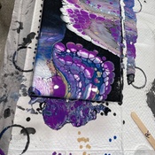 Photo submitted by Ryan