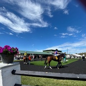 Photo submitted by Lisa