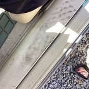 Photo submitted by Suzi