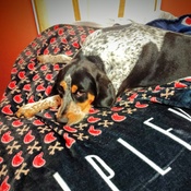 Photo submitted by Deborah