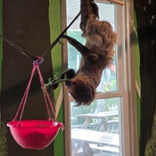 Photo submitted by Valerie