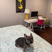 Photo submitted by Lisa