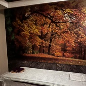 Photo submitted by Danielle