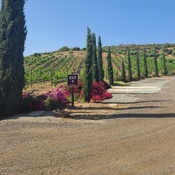 Photo submitted by Maria