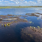 Photo submitted by Lori