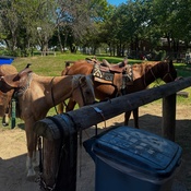 Photo submitted by Briseyda