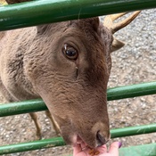 Photo submitted by Robn