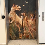 Photo submitted by Maria