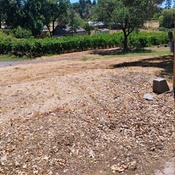 Photo submitted by Talia