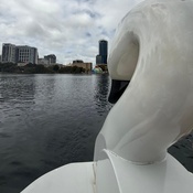 Photo submitted by Guest