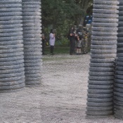 Photo submitted by Louann