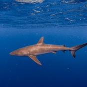 Photo submitted by Courtney