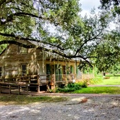 Photo submitted by D