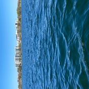 Photo submitted by Robyn