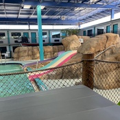 Photo submitted by Adrienne