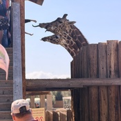 Photo submitted by michelle