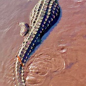 Photo submitted by rob