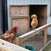 Photo submitted by Valerie